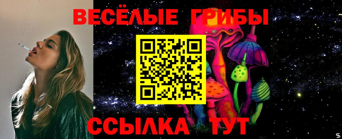 Серов  Галлюциногенные грибы MAGIC MUSHROOMS  Вход с VPN 